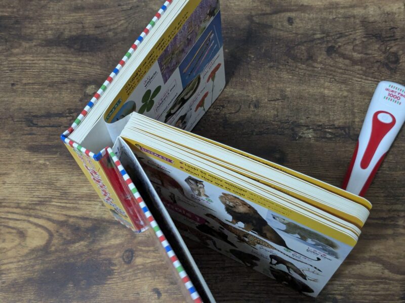 はじめてずかん1000ボロボロ魔改造1