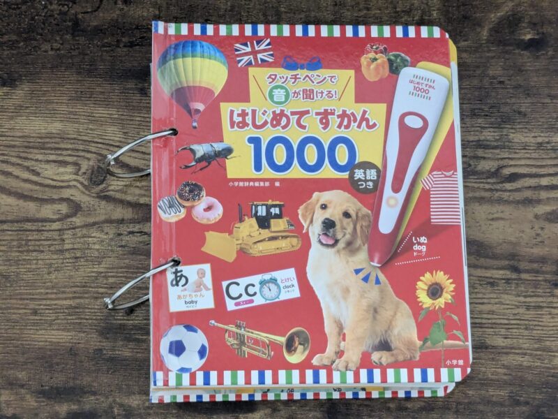 はじめてずかん1000ボロボロ魔改造2