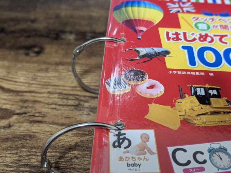 はじめてずかん1000ボロボロ魔改造3